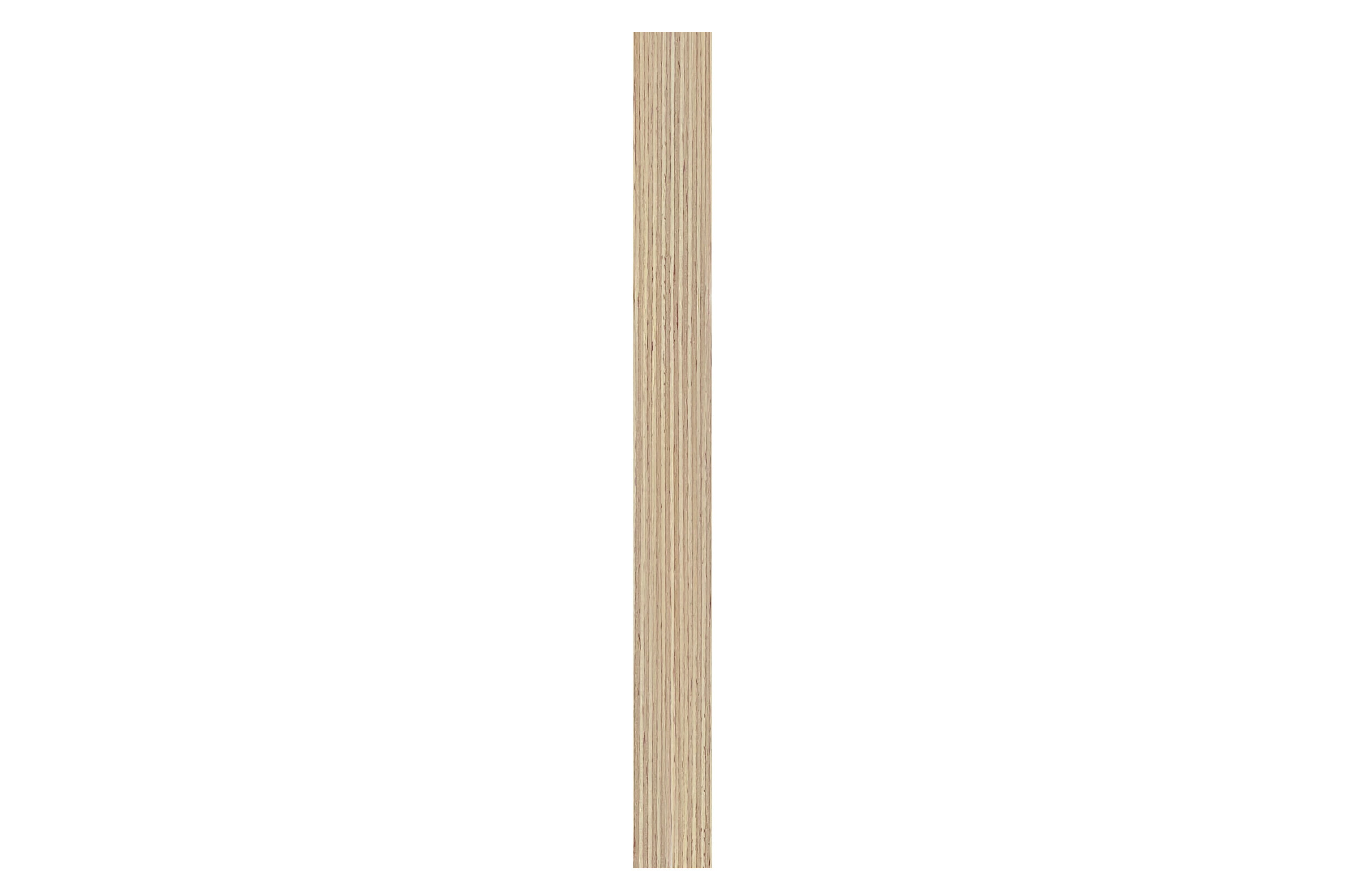 02_FO_MPTP140_02-Bild05-neu 02_FO_MPTP140_02-Bild05-neu
