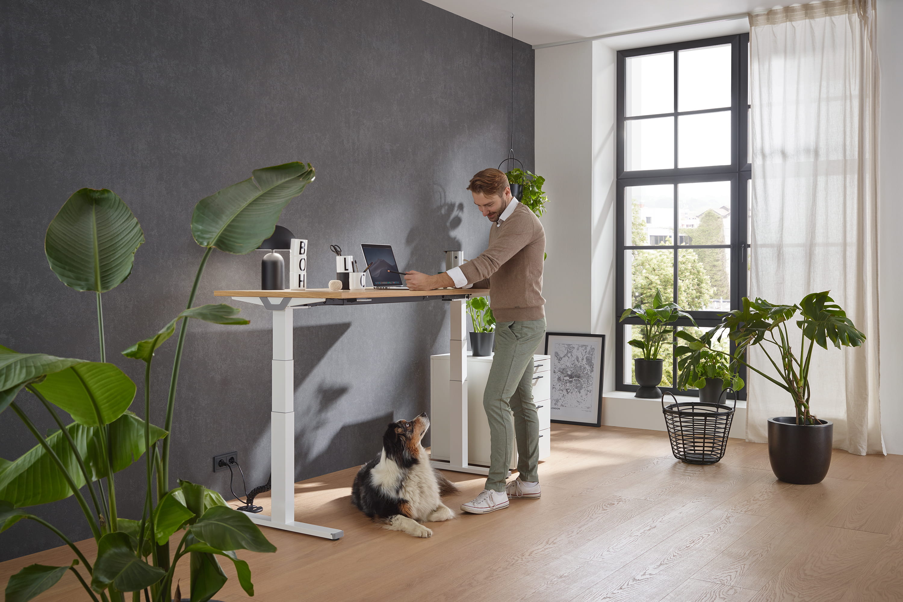 Premium Line Premium Line