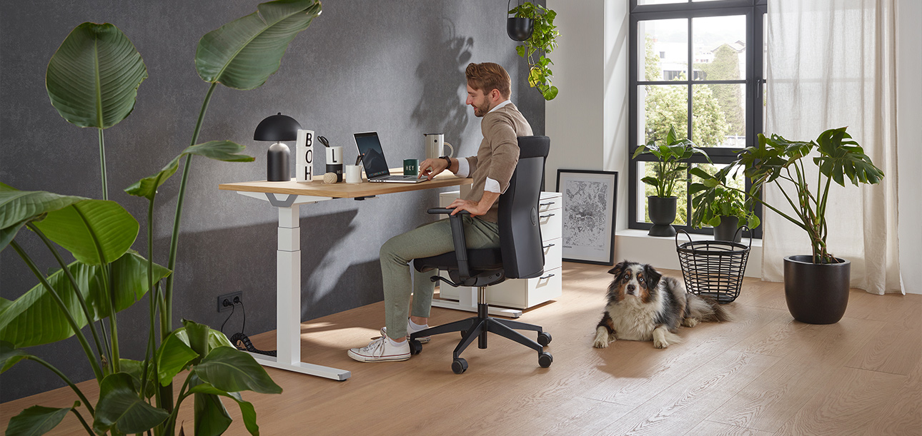 Person sitzt an einem höhenverstellbaren Schreibtisch und arbeitet am Laptop. Ein Hund liegt neben dem Tisch. Der Raum ist hell, mit Pflanzen und großen Fenstern im Hintergrund.