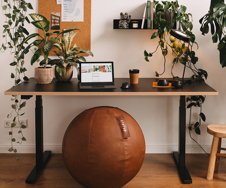 Höhenverstellbarer Schreibtisch mit schwarzer Tischplatte und Holzrand, umgeben von Pflanzen, mit einem Laptop, einer Kaffeetasse und einer Schreibtischlampe, ergänzt durch einen braunen Sitzball als Stuhl.