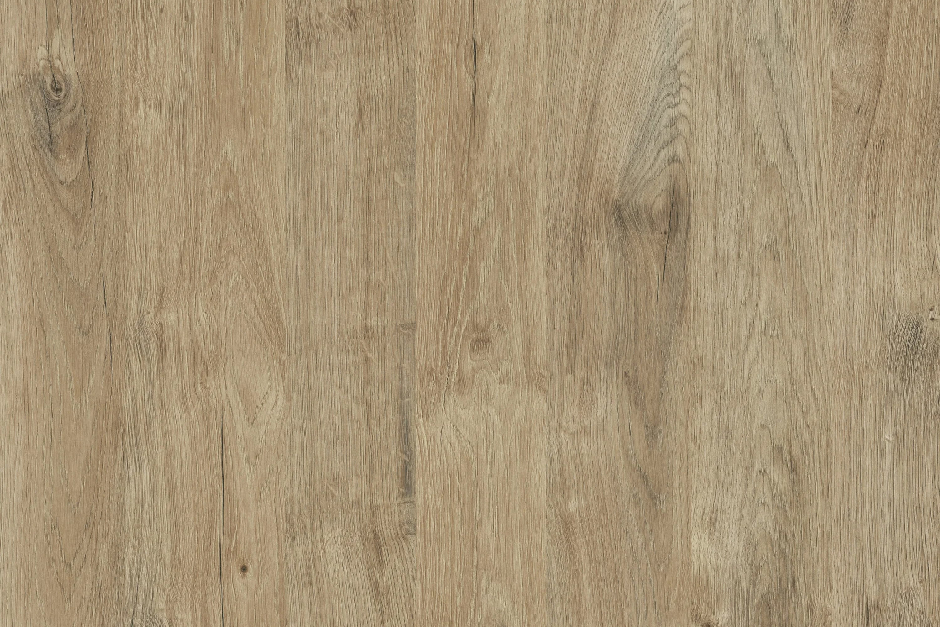 Bild02_schreibtischplatten-melaminharz-beschichtet-wildeiche-wildeiche_3000x2000 Basic Line  with melamine coated table top