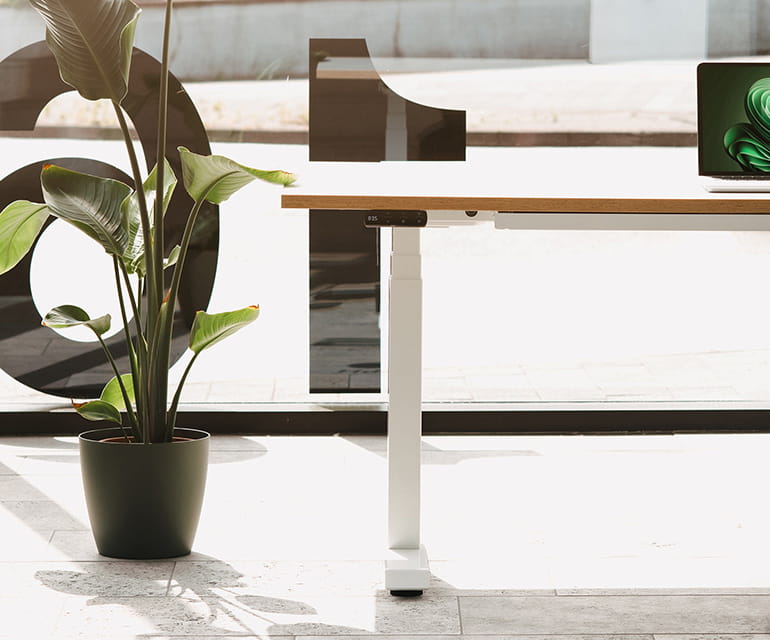 Vue latérale d’un bureau assis debout avec un cadre blanc et un bord en bois, placé à côté d’une plante verte d’intérieur dans une pièce moderne et lumineuse.