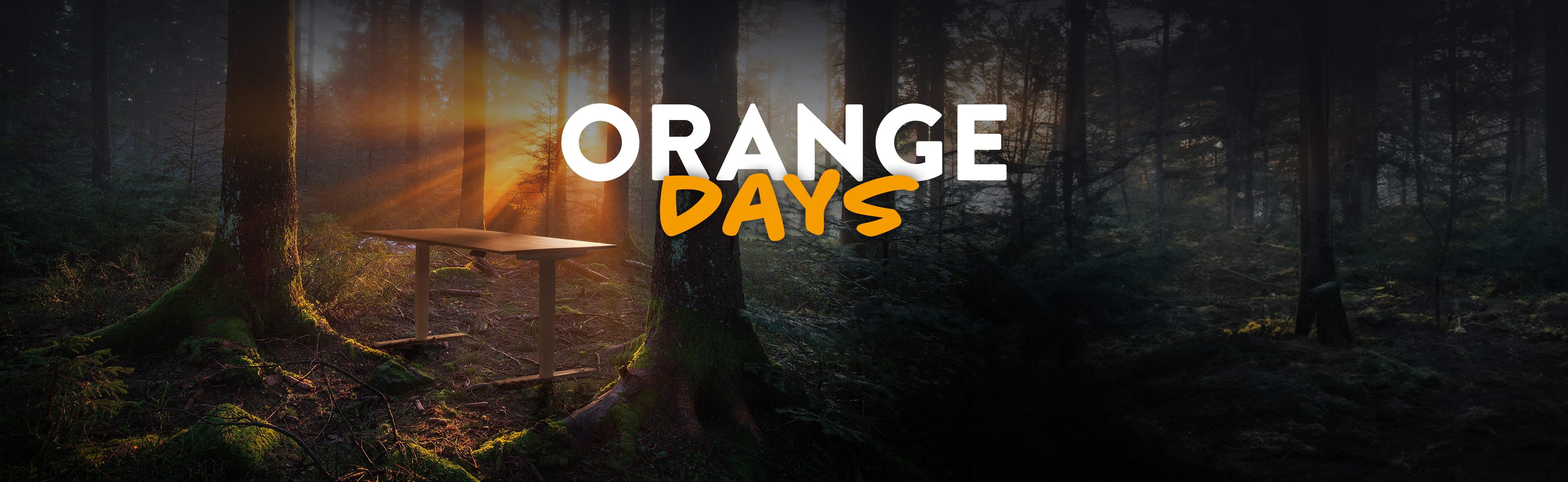 ORANGE DAYS bei boho office®